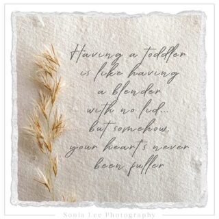 Having a toddler is like having a blender with no lid… 
But somehow, your heart’s never been fuller.
.
.
.
.
.
#babyphotography #sonialeephotography #newbornphotography #Adelaidephotographer #adelaidenewbornphotographer #childphotographer #adelaidefamilyphotos #photographer #westernsuburbsphotographer #Adelaideportraitphotographer #Adelaidephotographer #Maternityphotographer #Adelaidemums #cutekids #SAsmallbusiness #supportadelaidesmallbusiness