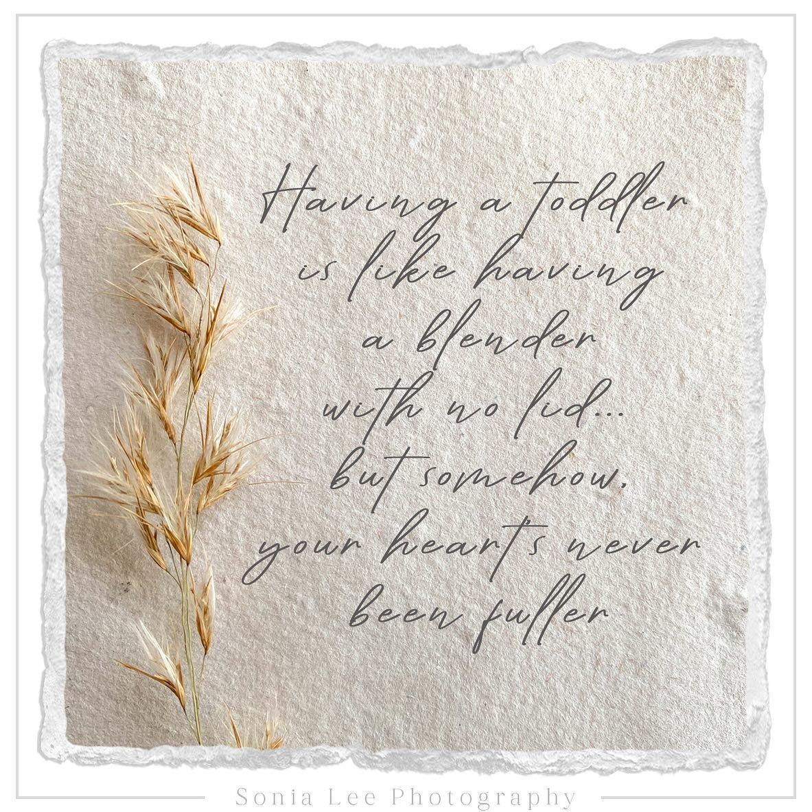 Having a toddler is like having a blender with no lid… 
But somehow, your heart’s never been fuller.
.
.
.
.
.
#babyphotography #sonialeephotography #newbornphotography #Adelaidephotographer #adelaidenewbornphotographer #childphotographer #adelaidefamilyphotos #photographer #westernsuburbsphotographer #Adelaideportraitphotographer #Adelaidephotographer #Maternityphotographer #Adelaidemums #cutekids #SAsmallbusiness #supportadelaidesmallbusiness