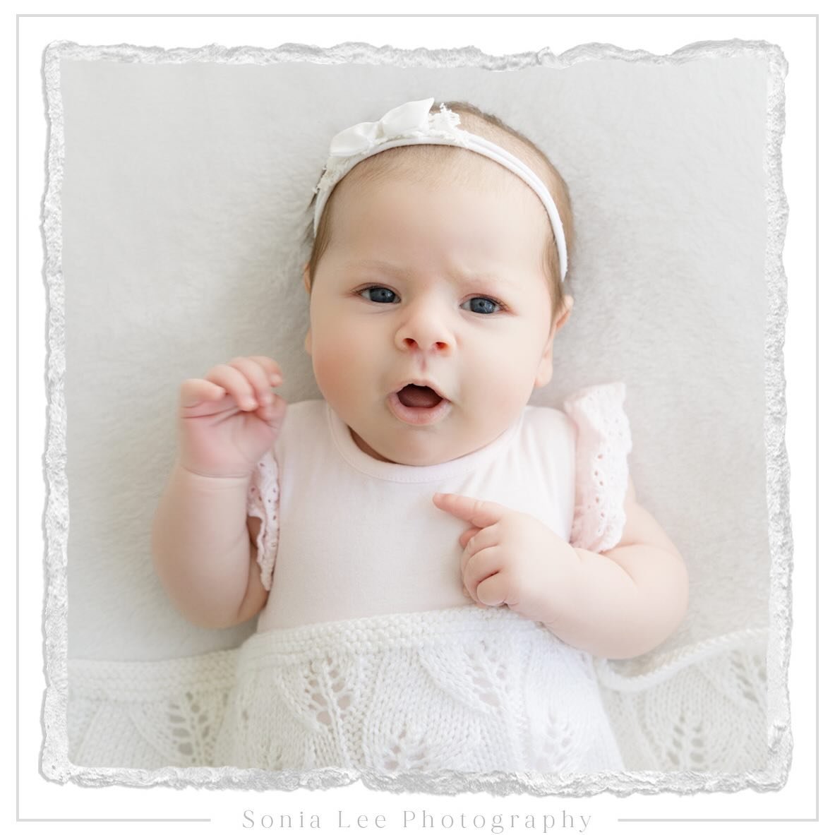 Beautiful 7 week old Andriana. Such a sweet little soul 🩷
#sonialeephotography #adelaidephotographer #familyphotographer #westernsuburbsphotographer