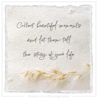 “Collect beautiful moments and let them tell the story of your life.”
#sonialeephotography #adelaidephotographer #westernsuburbsphotographer #portraitphotographer #familyphotography