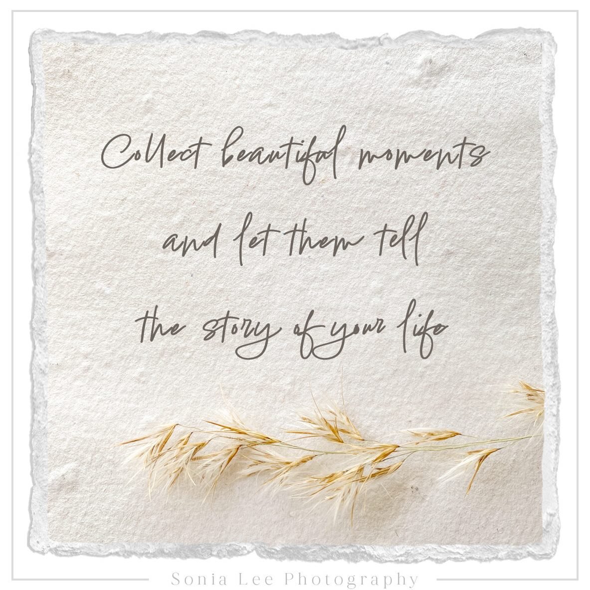 “Collect beautiful moments and let them tell the story of your life.”
#sonialeephotography #adelaidephotographer #westernsuburbsphotographer #portraitphotographer #familyphotography