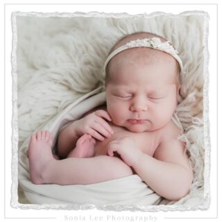 Gorgeous, 12 day old, Charlotte. She’s the 2nd baby I’ve photographed for this lovely family, I just love seeing families grow and being able to document their special memories through photos 🥰
.
.
.
.
.
.
#sonialeephotography #newbornphotography  #adelaidenewbornphotos  #westernsuburbsphotographer
#babyphotographer