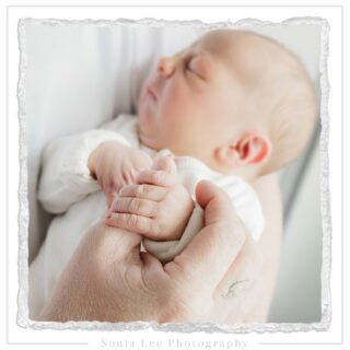 Perfect, baby Miles…captured during his Fresh 48 session at Flinders Medical Centre. How special to be able to capture sweet moments within 48 hours of your babies birth 🥰

.
.
.
.
.
.
#sonialeephotography #newbornphotography  #adelaidenewbornphotos  #westernsuburbsphotographer #fresh48session